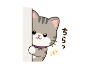 842999562