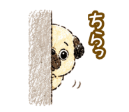 843000191