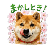 843000287