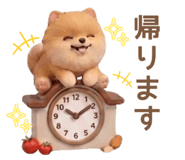 843000508
