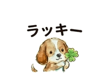 843000873