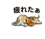 843000881
