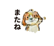 843000882