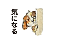 843000884