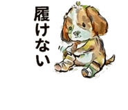 843000885