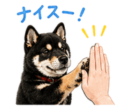 843000909