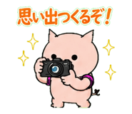843001622