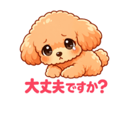 843001809