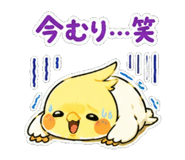 843001823