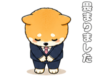 843001951