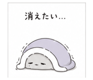 843002029