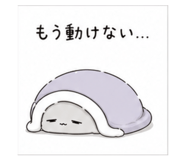 843002041