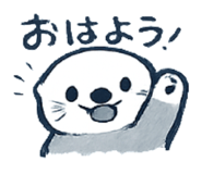 843002081