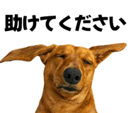 843002344
