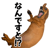843002346