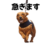 843002351