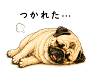 843002545