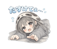 843002642