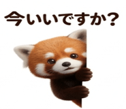 843002707