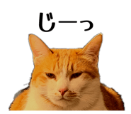 843003160
