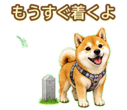 843003203