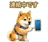 843003204