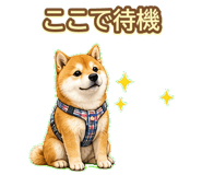 843003209