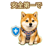 843003212