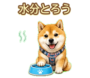 843003216