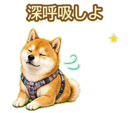 843003217