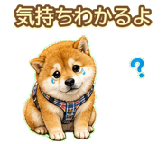 843003222