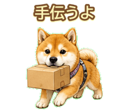 843003226