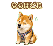 843003233