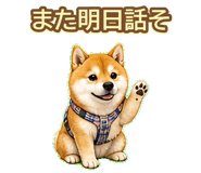 843003238