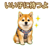 843003239