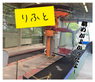 843003254