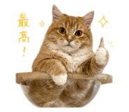 843003777