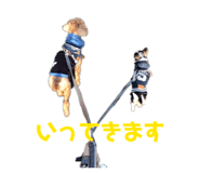 843004154