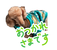 843004158