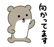 843004429