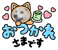 843004661