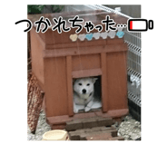 843004664