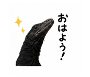 843004737