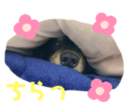 843004903