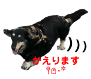 843004920
