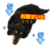 843004925