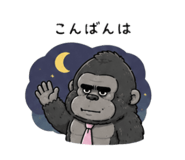 843005211