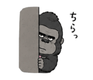 843005238