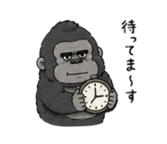 843005243