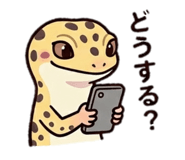 843005314
